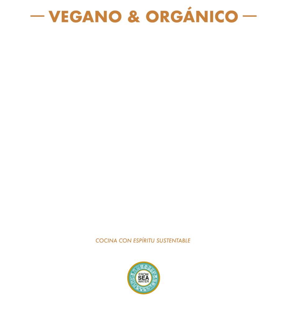 menu vegano